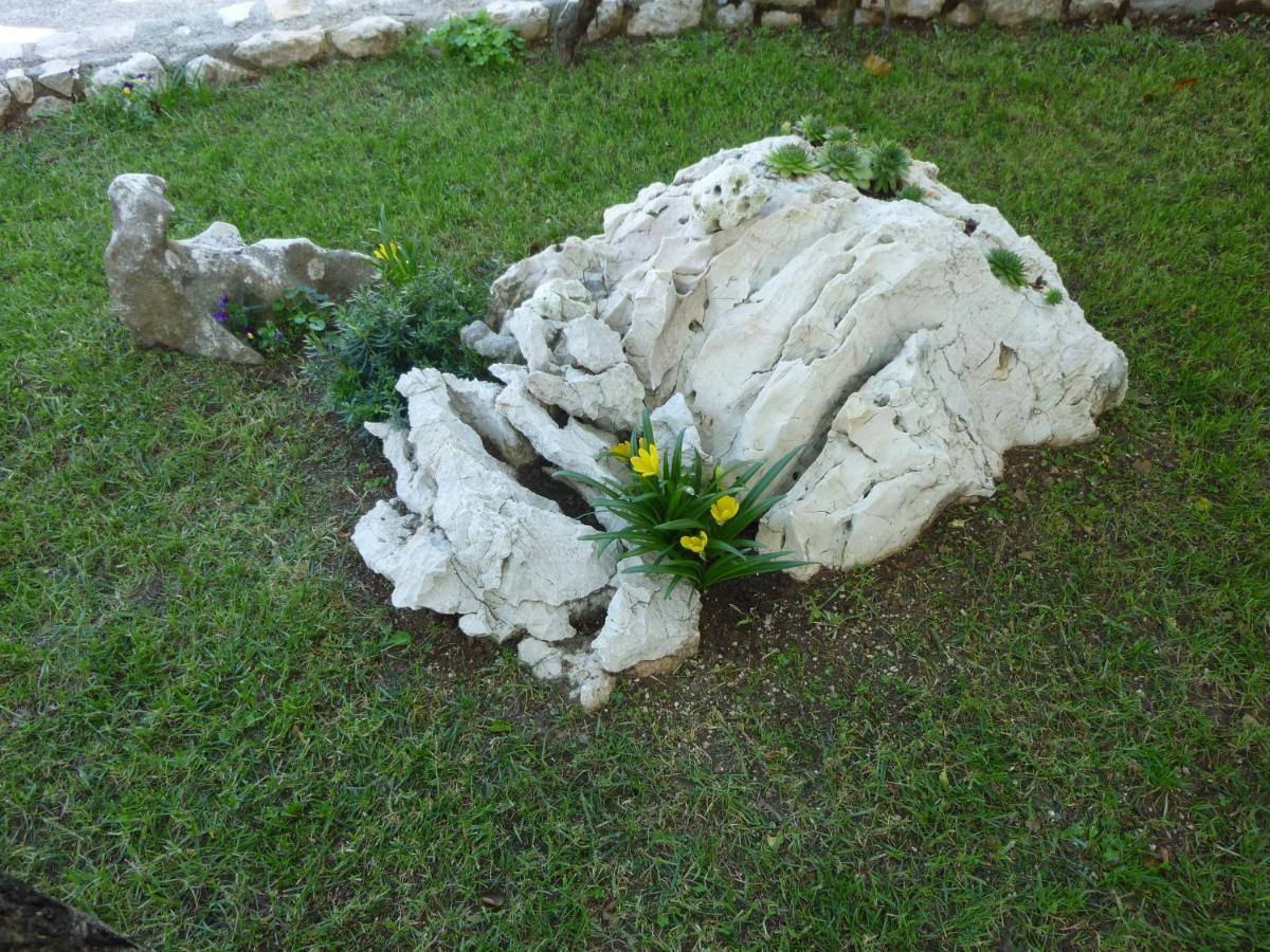 Apartment Marija Vrh  Dış mekan fotoğraf
